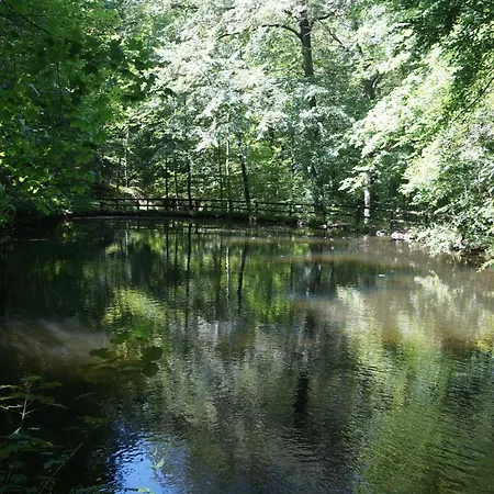 Lechsner Apartamento Bad Harzburg
